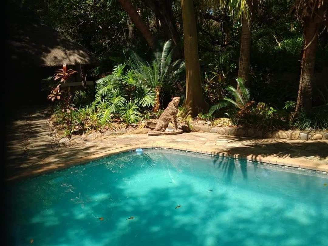 Paradise River Lodge โฮดสปรูท ภายนอก รูปภาพ
